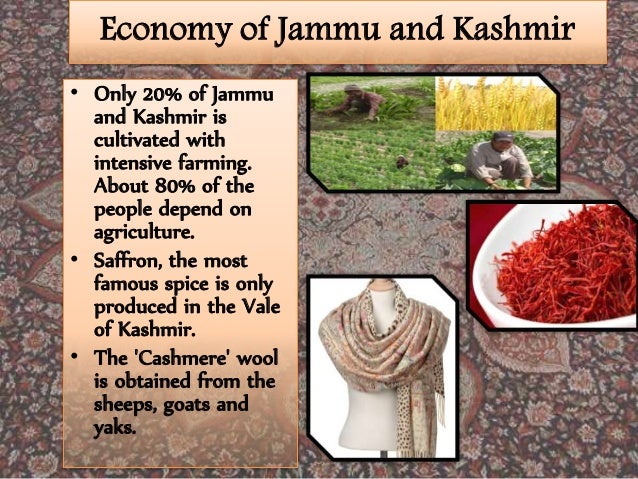 Festivals of Jammu and Kashmir Lohri Festival Baisakhi Bahu Mela Navratri Chaitre Chaudash mela Mansar food and craft mela